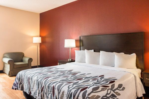 Hotel Red Roof Dumas